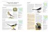 The Complete Illustrated Encyclopedia of Birds of the World