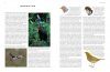 The Complete Illustrated Encyclopedia of Birds of the World