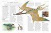 The Complete Illustrated Encyclopedia of Birds of the World