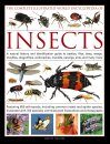 The Complete Illustrated World Encyclopedia of Insects
