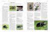The Complete Illustrated World Encyclopedia of Insects