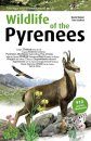 Wildlife of the Pyrenees