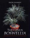 The Genus Boswellia