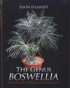 The Genus Boswellia
