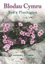 Blodau Cymru: Cyflwyno Byd y Planhigion [Flowers of Wales: Introducing the World of Plants]