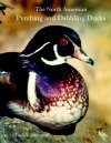 The North American Perching and Dabbling Ducks