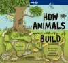 How Animals Build