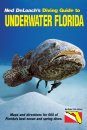 Diving Guide to Underwater Florida