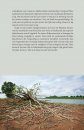 De Populier: Onze Volksboom in Nieuw Perspectief [The Poplar: Our National Tree in a New Perspective]