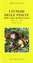 I Funghi delle Pinete delle Zone Mediterranee, Volume 2 [Mushrooms of the Pine Forest of the Mediterranean, Volume 2]