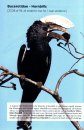 The Birder's Guide to Africa