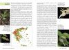 Atlas of the Greek Orchids (2-Volume Set) [Greek]