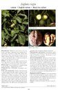 Medicinal Plants of the World