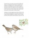 Vogels en de Liefde [Birds and Love]