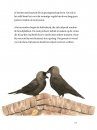 Vogels en de Liefde [Birds and Love]