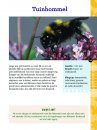 Bijen & Hommels [Bees and Bumblebees]