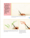 Beginner's Guide to Botanical Flower Painting