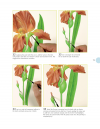 Beginner's Guide to Botanical Flower Painting