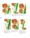 Beginner's Guide to Botanical Flower Painting