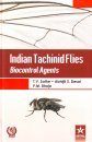 Indian Tachinid Flies