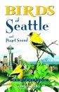 Birds of Seattle