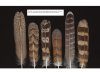 Feathers of European Owls