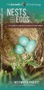 Nests and Eggs of North American Backyard Birds
