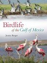Birdlife of the Gulf of Mexico