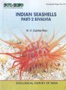 Indian Seashells, Part 2: Bivalvia