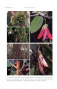 Flora of Thailand, Volume 13, Part 4
