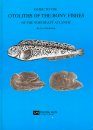 Guide to the Otoliths of the Bony Fishes of the Northeast Atlantic