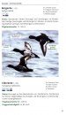 Die Vögel Mitteleuropas im Flug bestimmen: 468 Arten Sicher Erkennen und Zuordnen [Identifying the Birds of Central Europe in Flight: Reliably Recognising and Assigning 468 Species]