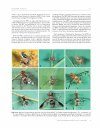 Manual of Afrotropical Diptera, Volume 1