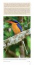 Pocket Field Guide to Birdlife of Queensland