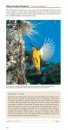 Pocket Field Guide to Birdlife of Queensland