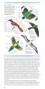 Pocket Field Guide to Birdlife of Queensland