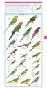 Pocket Field Guide to Birdlife of Queensland