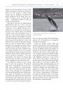 Observer les Baleines et Autres Cétacés en France et en Europe [Mark Carwardine's Guide to Whale Watching in Britain and Europe]