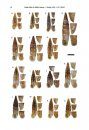 ZooKeys 599: Taxonomic Revision of the Rock-Dwelling Door Snail Genus Montenegrina Boettger, 1877 (Mollusca, Gastropoda, Clausiliidae)
