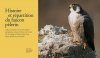 Le Faucon Pèlerin: Description, Mœurs, Observation, Protection, Mythologie [The Peregrine Falcon: Description, Habits, Observation, Protection, Mythology]