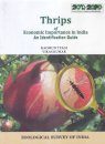 Thrips of Economic Importance in India