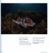 Australasian Nature Photography 2017: ANZANG Fourteenth Edition