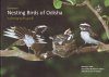 Common Nesting Birds of Odisha