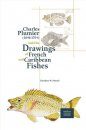 Charles Plumier (1646-1704) and His Drawings of French and Caribbean Fishes / Charles Plumier (1646-1704) et ses Dessins de Poissons de France et des Antilles