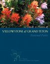 A Guide to Plants of Yellowstone & Grand Teton National Parks