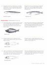 Marine Fishes of Arctic Canada