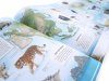 The Amazing Animal Atlas
