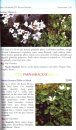 Plants of Kedarnath Wildlife Sanctuary, Western Himalaya
