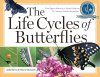 The Life Cycles of Butterflies
