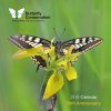 Butterfly Conservation 2018 Wall Calendar